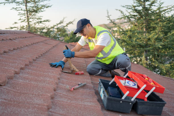 Roof Gutter Cleaning